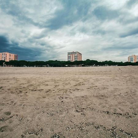 Studio Les Pieds Dans L'Eau Argeles Sur Mer Eksteriør billede