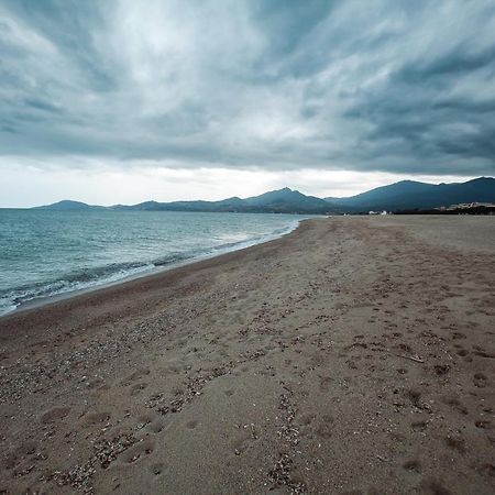 Studio Les Pieds Dans L'Eau Argeles Sur Mer Eksteriør billede