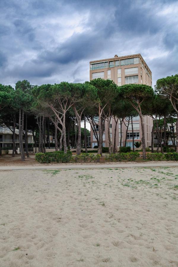 Studio Les Pieds Dans L'Eau Argeles Sur Mer Eksteriør billede