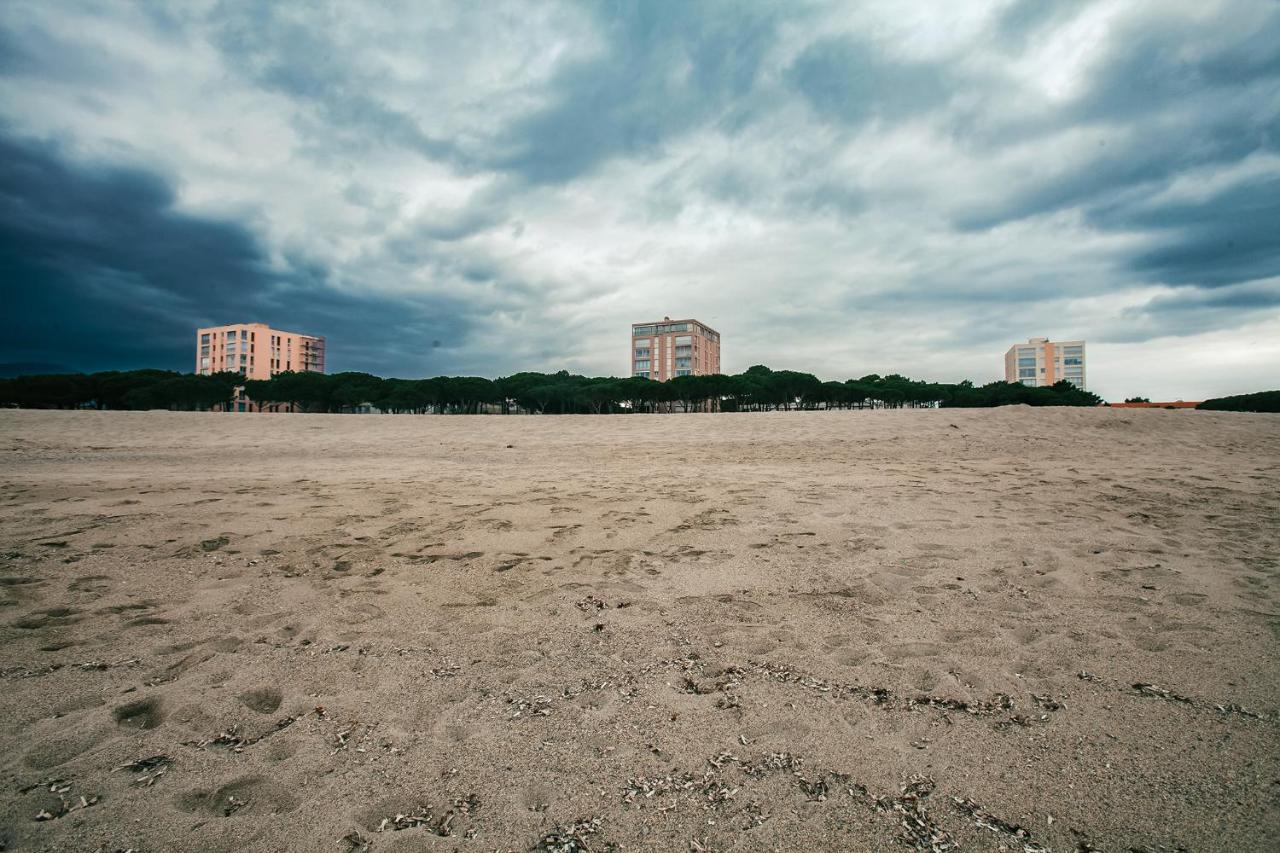 Studio Les Pieds Dans L'Eau Argeles Sur Mer Eksteriør billede