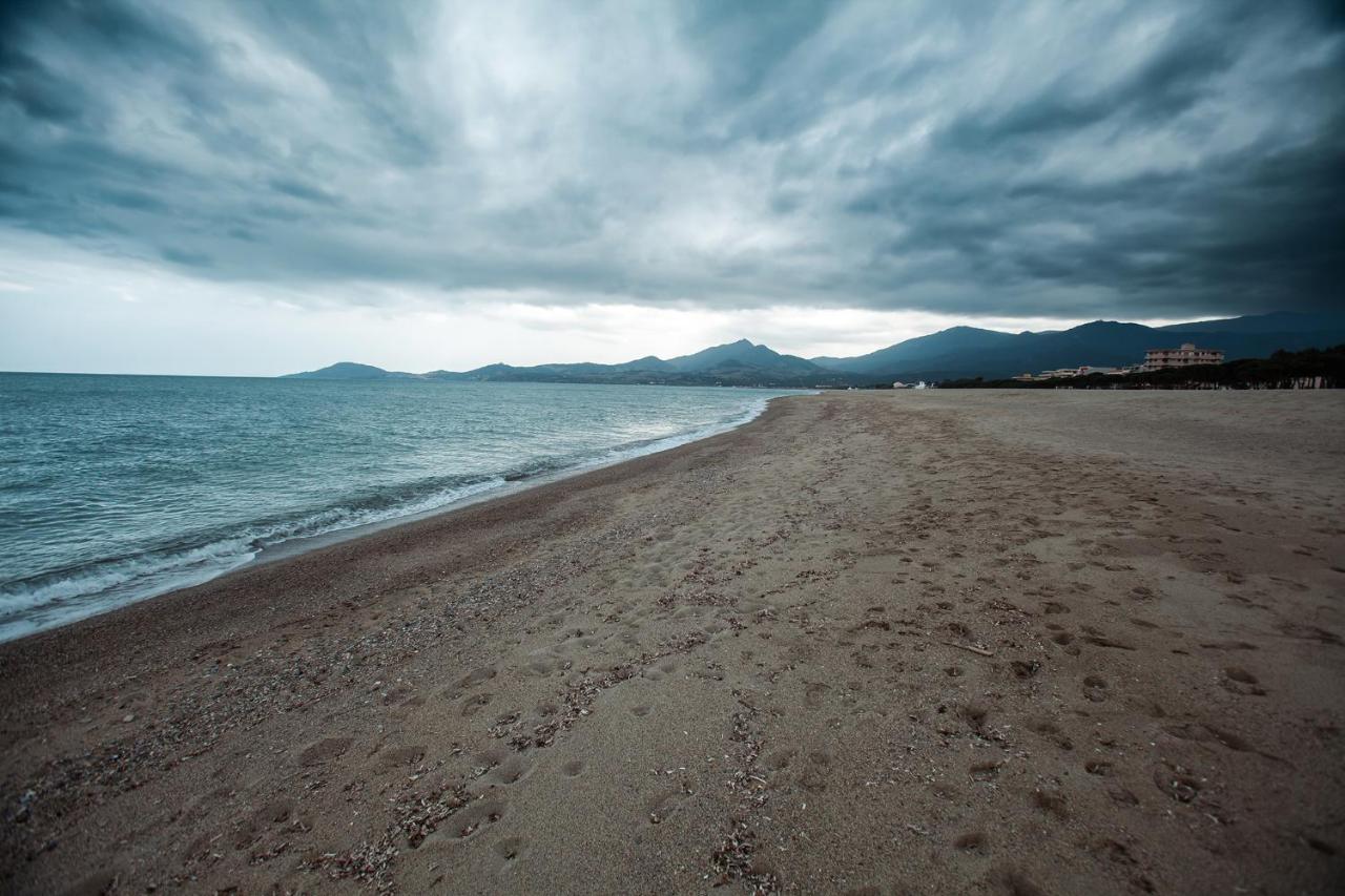 Studio Les Pieds Dans L'Eau Argeles Sur Mer Eksteriør billede