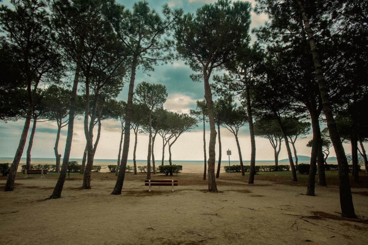 Studio Les Pieds Dans L'Eau Argeles Sur Mer Eksteriør billede